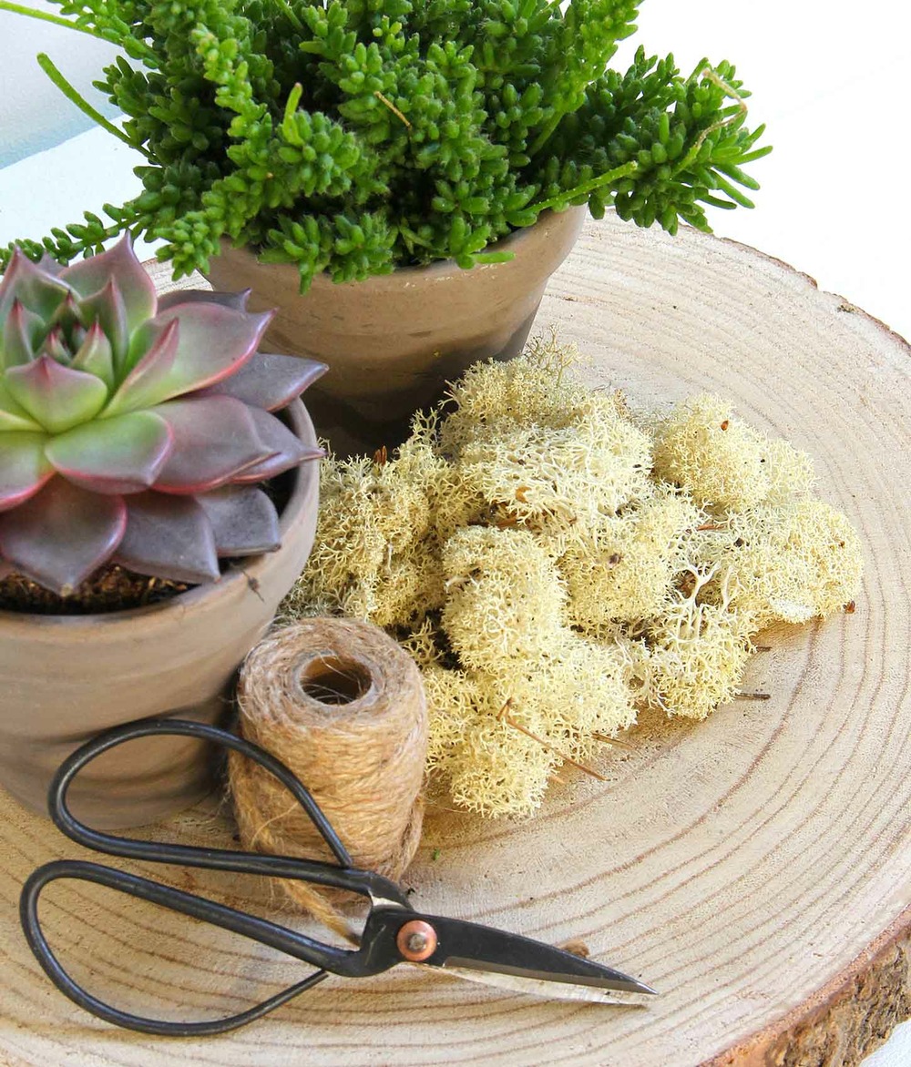 Mica decorations fleuriste rendiermos - 1x1x5 cm - pe - naturel