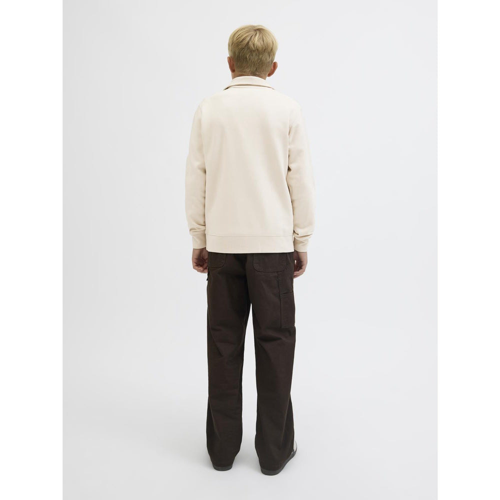 Køb Jack & Jones Junior Moonbeam Jjesoho Sweat Quarter Zip Hn Noos Jnr