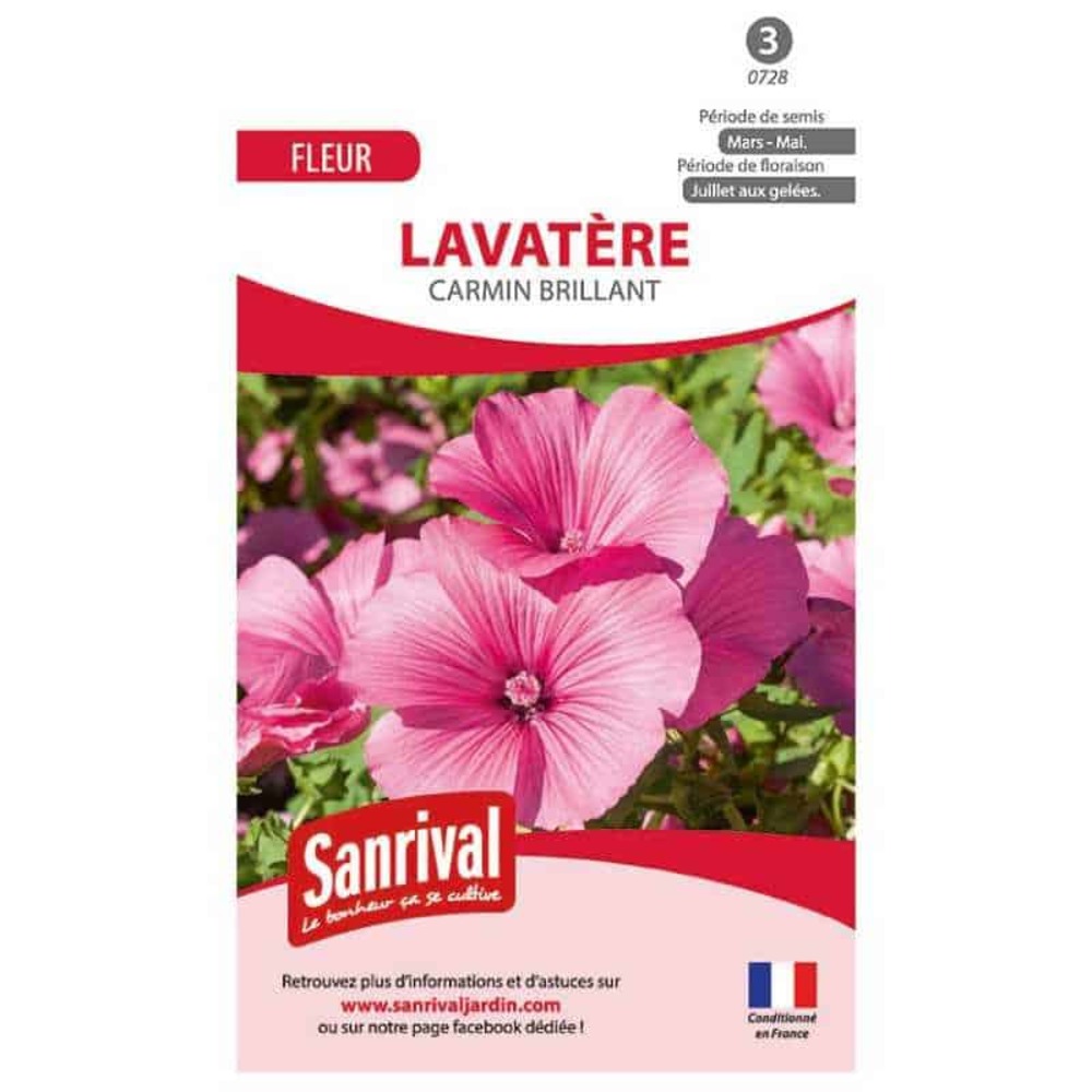 Graines de lavatère brillant carmin