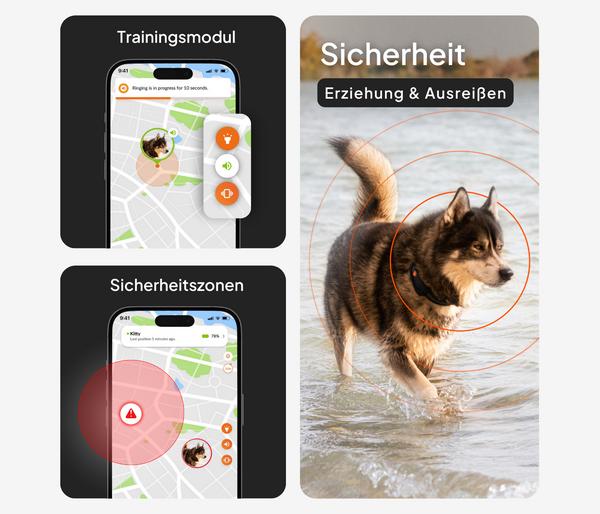 Weenect XT GPS-Tracker für Hunde inkl. JK9