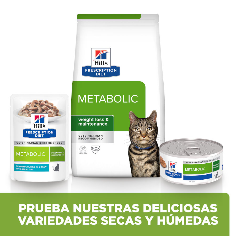 Sachê de peixe ao molho Hill's Prescription Diet Metabolic Weight Control para gatos