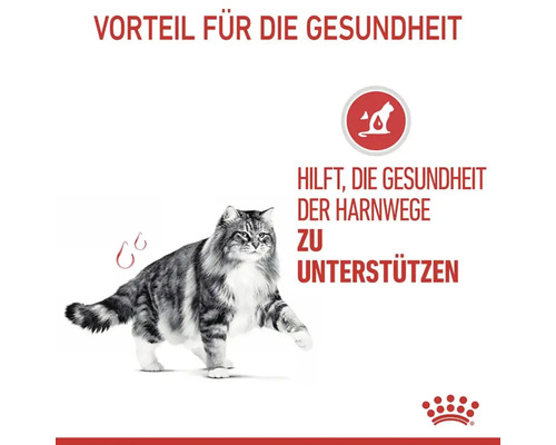 Droog kattenvoer, ROYAL CANIN FCN Urinary Care 10 kg