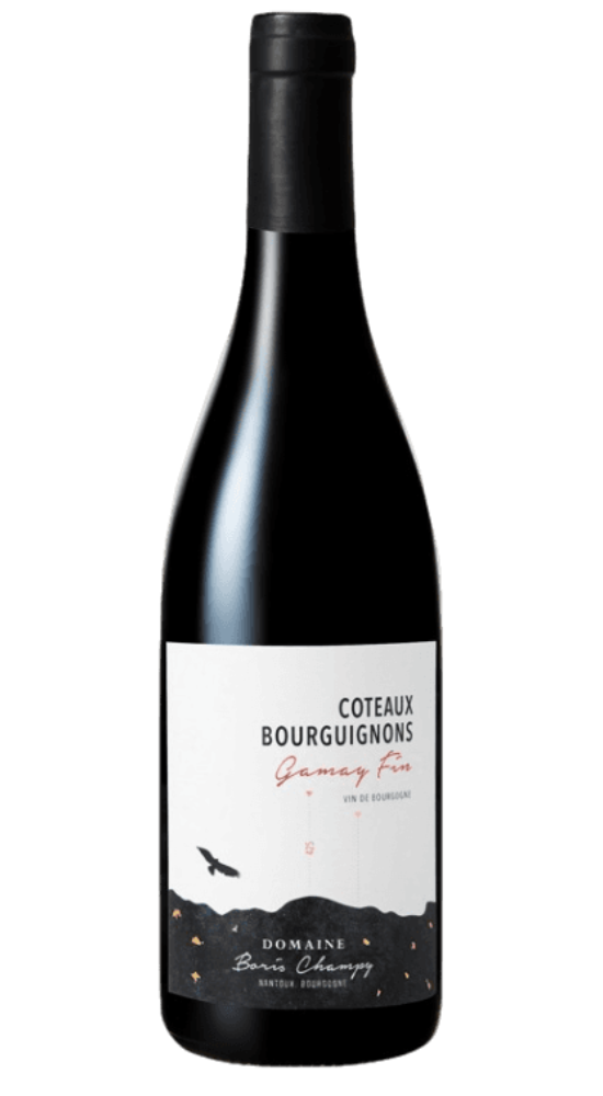 Boris Champy : Coteaux Bourguignons Gamay Fin 2021  Bourgogne-   Côteaux Bourguignons-Rouge-