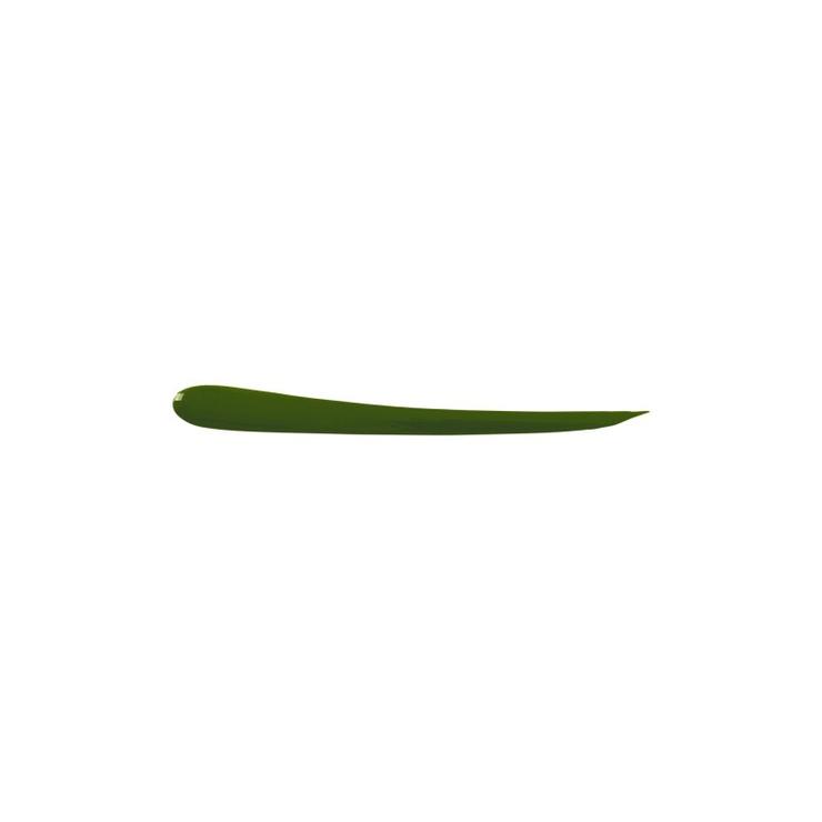 Eyeliner liquide Vert 5g