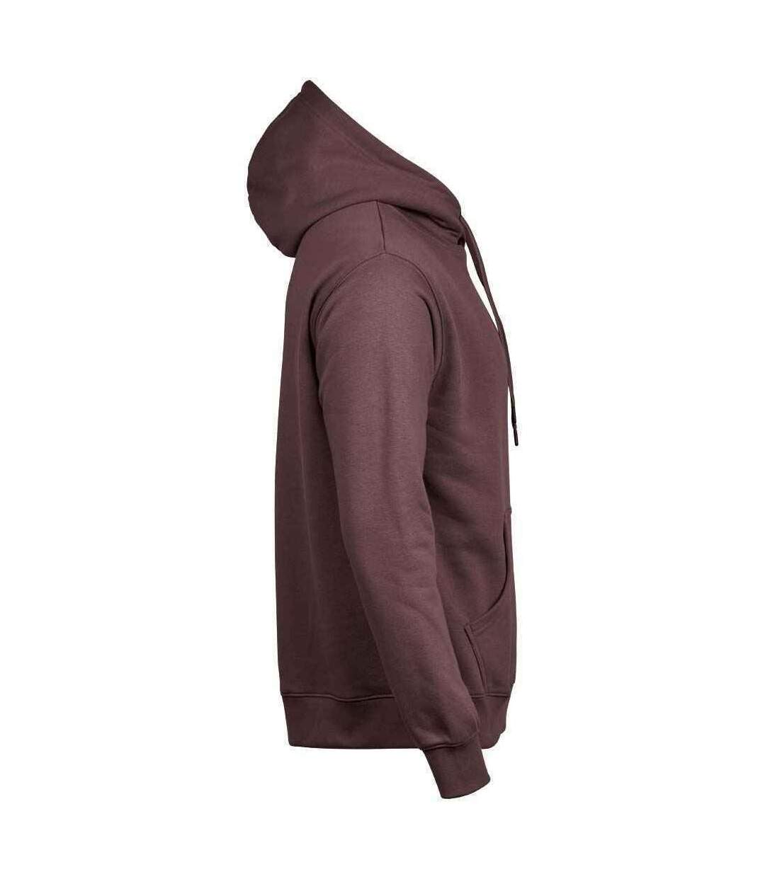 Tee Jays - Sweat CAPUCHE - Hommes (Violet) - UTPC4097