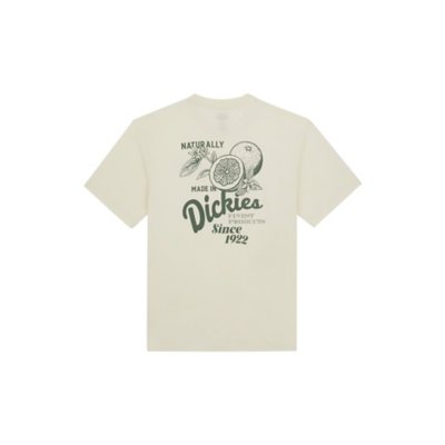 Tee-shirt à manches courtes homme Raven Tee JAUNE DICKIES