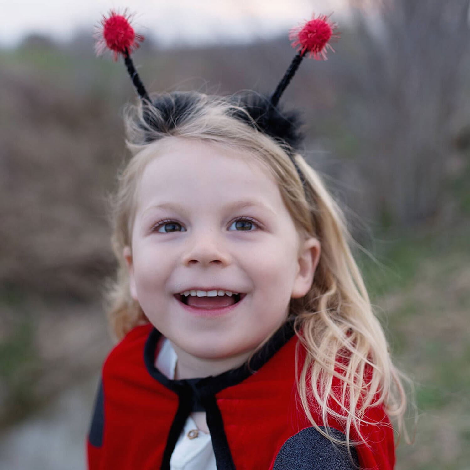 Verkleedset Lieveheersbeestje, 2-3 jaar