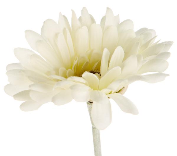 Dehner Kunstblume Gerbera, ca. H56 cm