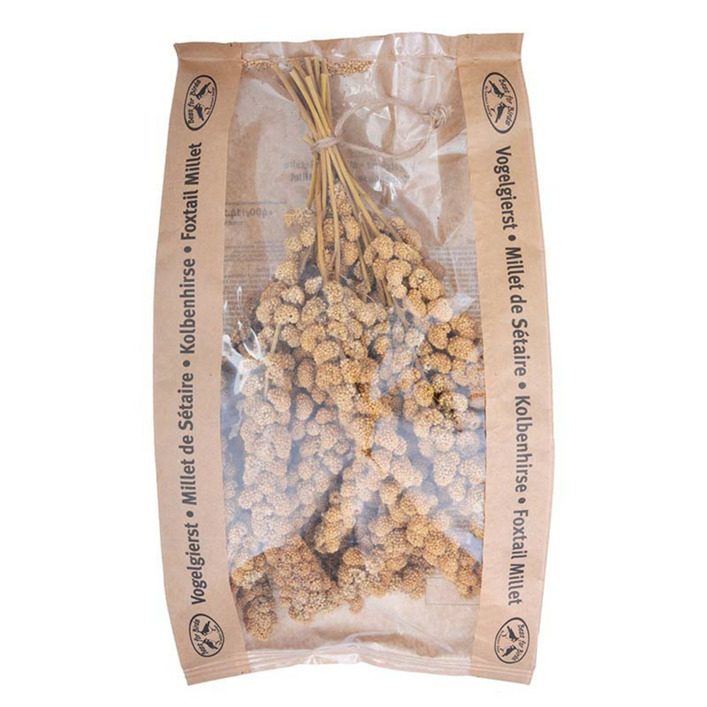 Millet pour oiseaux 400 gr