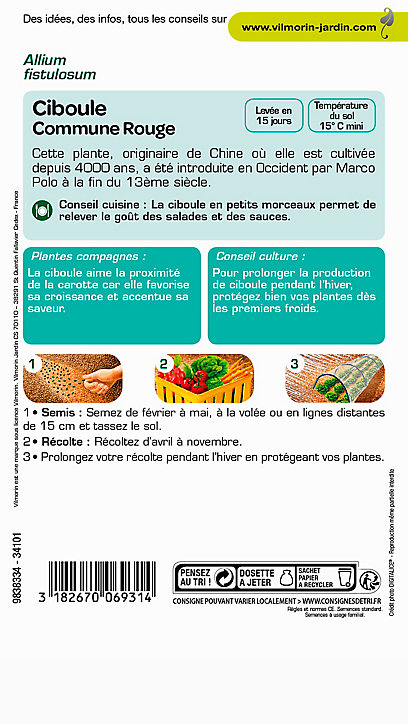 Graines de Ciboule Commune Rouge