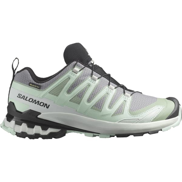 Chaussure trail SALOMON XA PRO 3D V9 GORE-TEX W QUIET SHADE/LILY PAD/BLUE HAZE