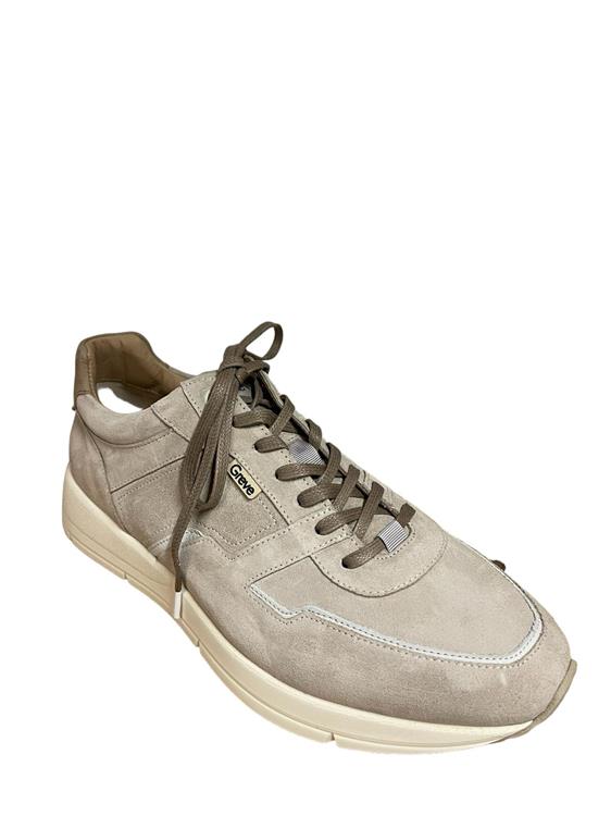 Greve 7280 Walker licht beige [03 2928 fantasma]