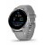 Garmin Venu 2 Plus Hellgrau/Silber 010-02496-10