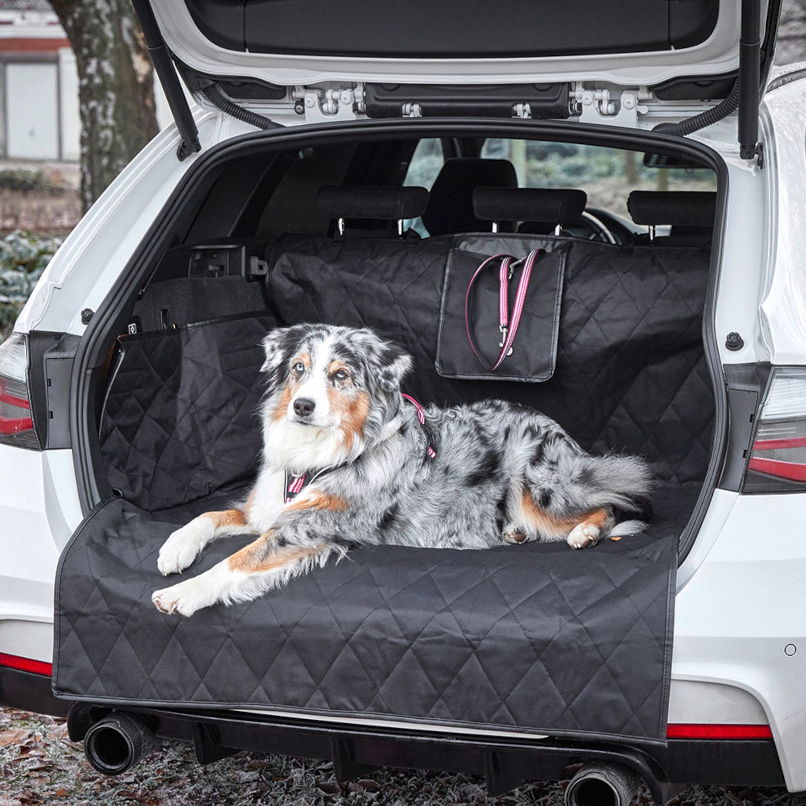 Wolters Clean Car Kofferraumdecke für Hunde mit Stoßstangenschutz