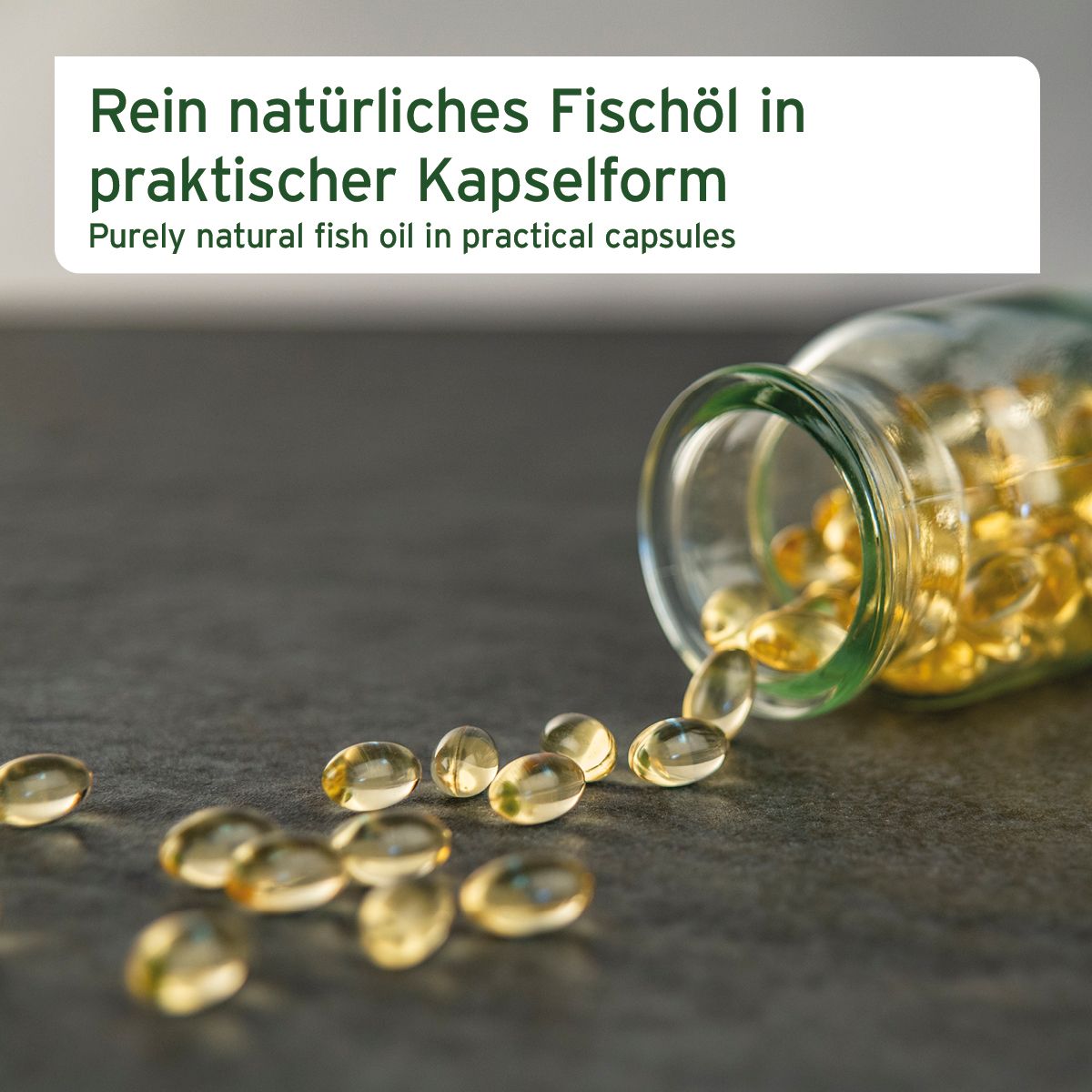 AniForte Lachsöl Kapseln