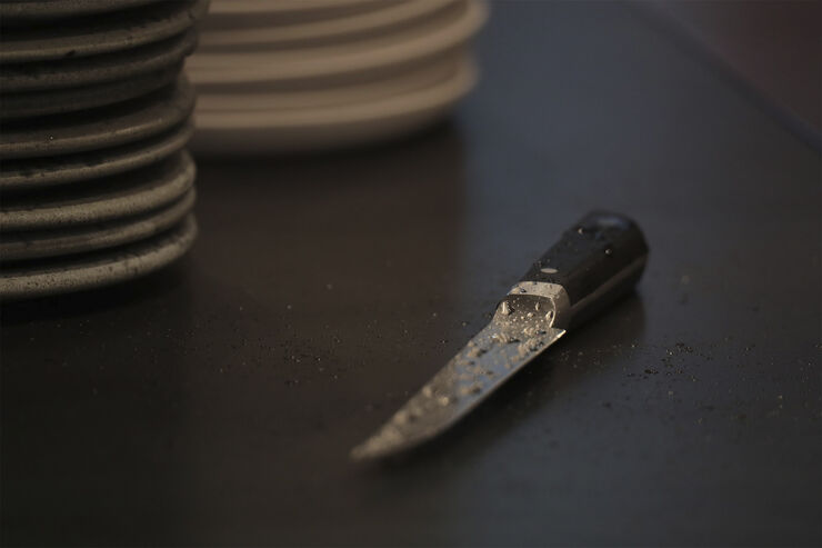 Endeavour Little Fish - kniv 17 cm Sort