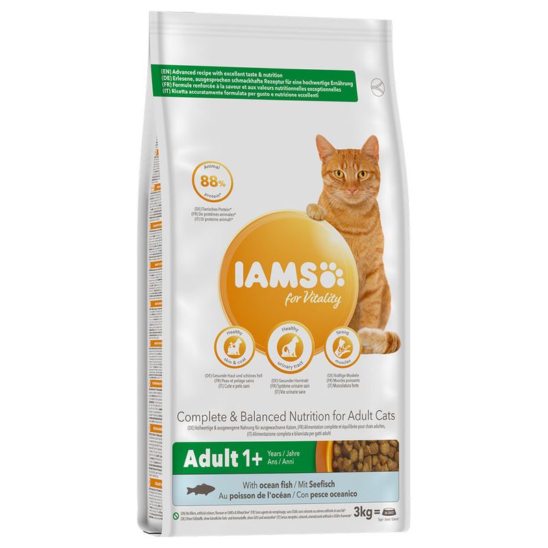 Lots économiques IAMS