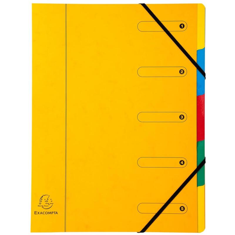 Trieur Harmonika fenêtres imprimées Véritable carte lustrée 5 compartiments - Couleurs assorties