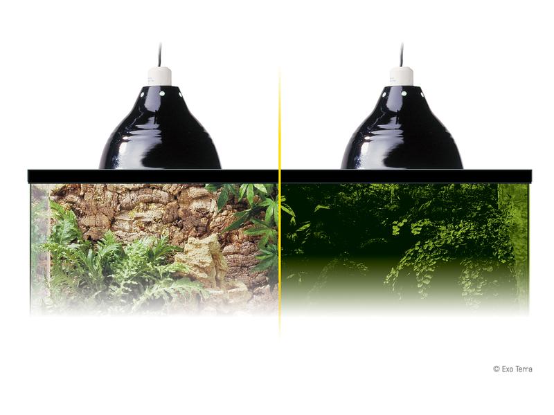 Exo Terra Klemmlampe Glow Light M, Ø 21 cm Porzellan-Klemmlampe mit Leuchtreflektor