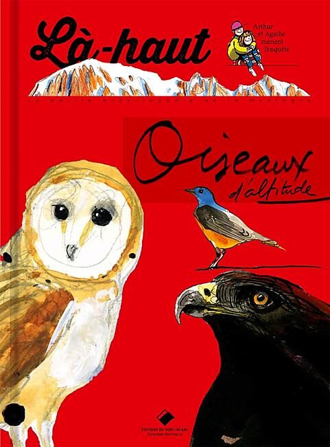 EDITIONS DU MONT BLANC - LA HAUT OISEAUX D ALTITUDE