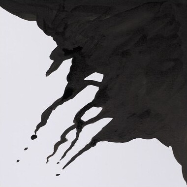 Winsor & Newton - Liquid Indian Ink 30 ML - Blæk