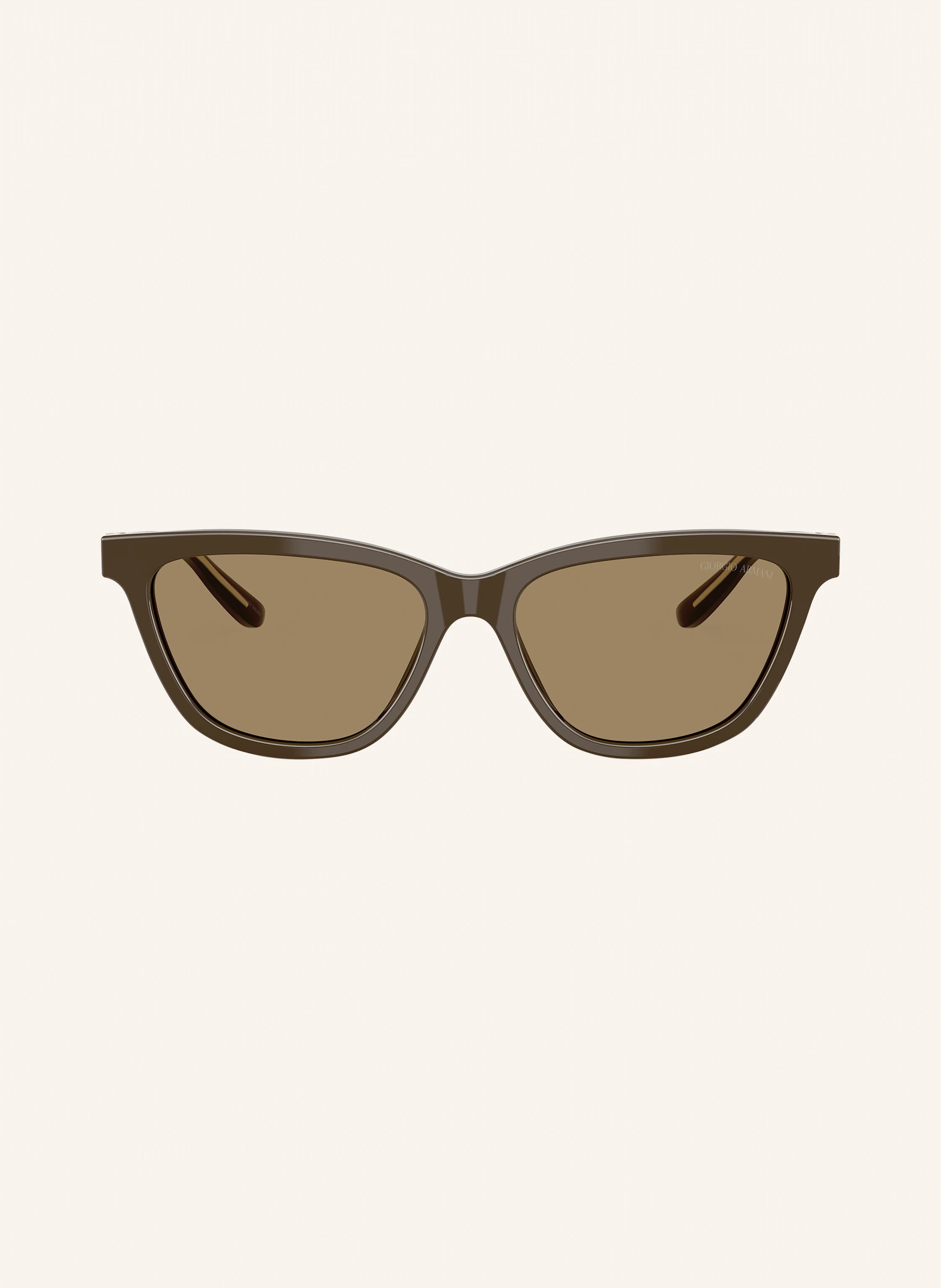 GIORGIO ARMANI Sonnenbrille AR8221