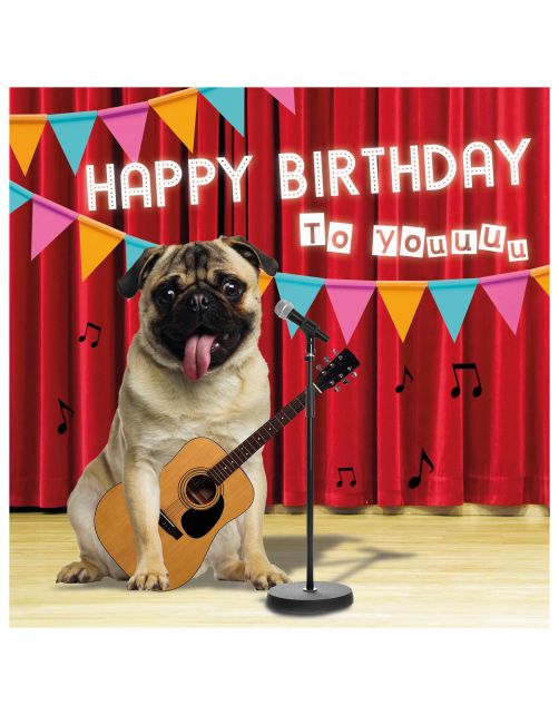 Plenty Gifts Kaart Birthday Pug - Cadeau - 13.7x13.7 cm