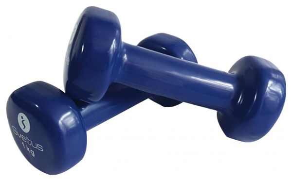 Haltere epoxy Sveltus poids au choix