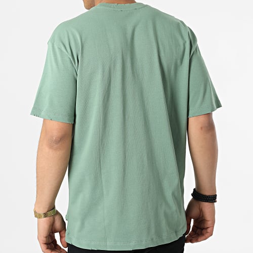 Tee Shirt Oversize Large FT-6112 Vert