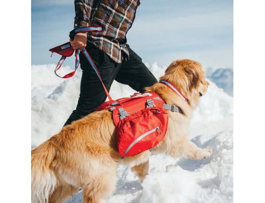 KURGO - Harnais de sécurité enfant Sac à dos pour chiens baxter m rouge