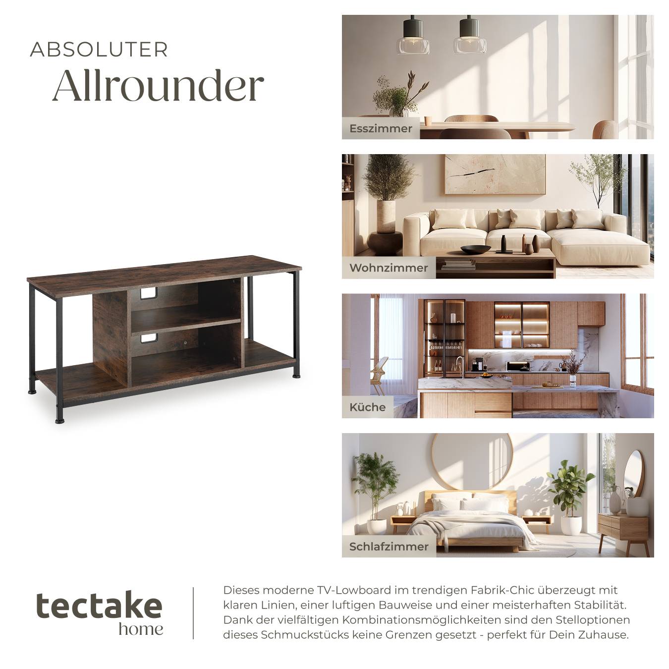 TV-Regal Austin