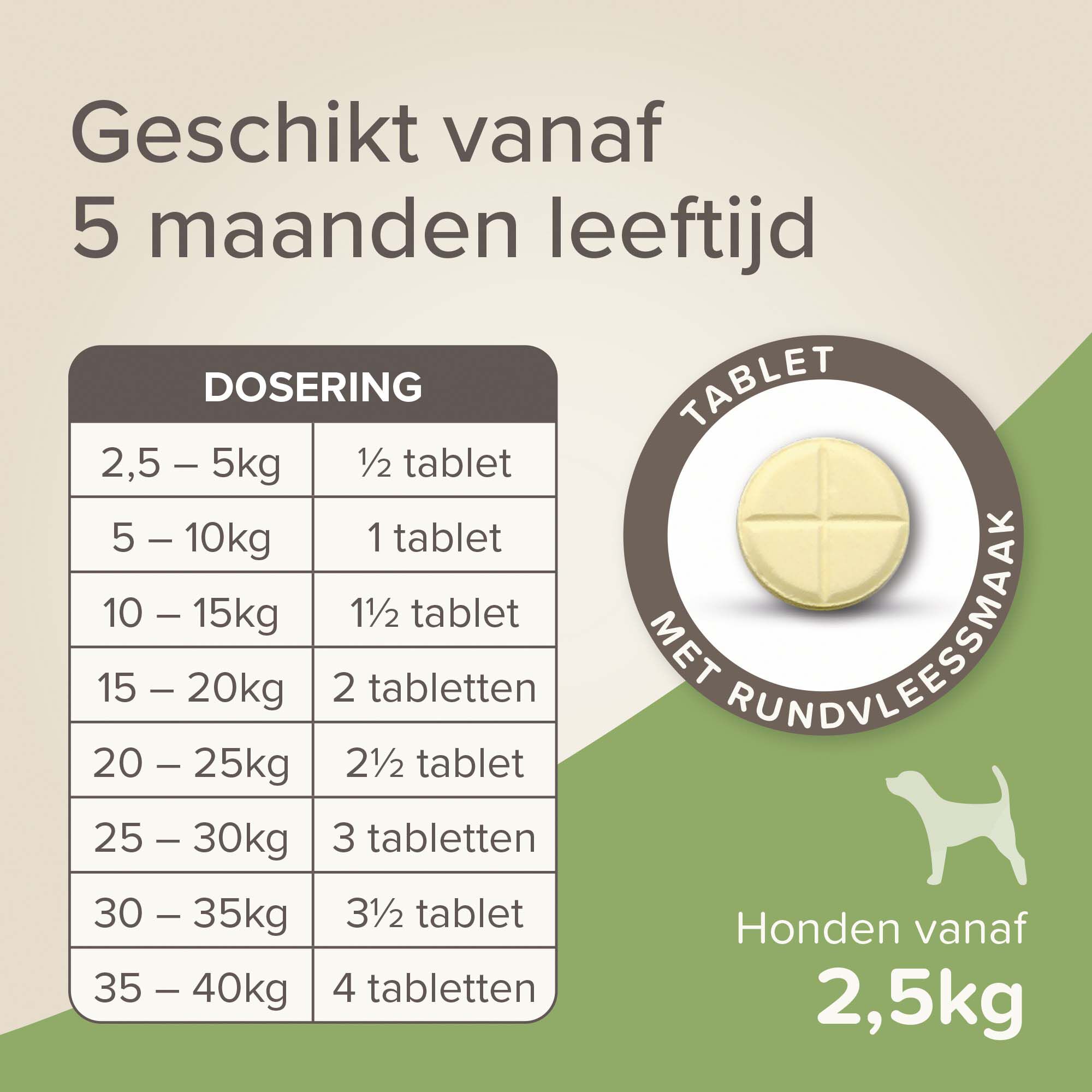 Beaphar All-in-one Tabletten - Ontwormen Hond - 4 Stuks - M