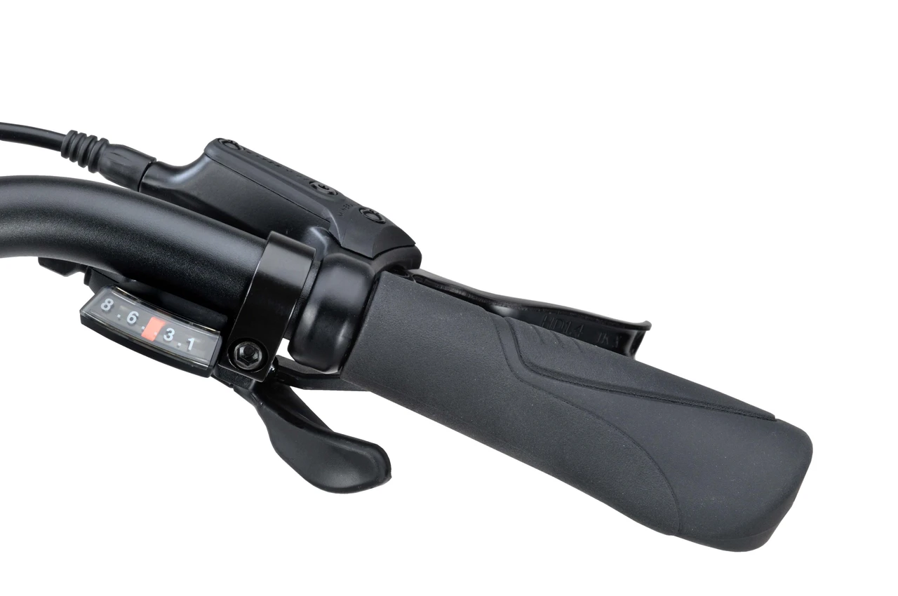 Batavus Fonk Sport 8 2025