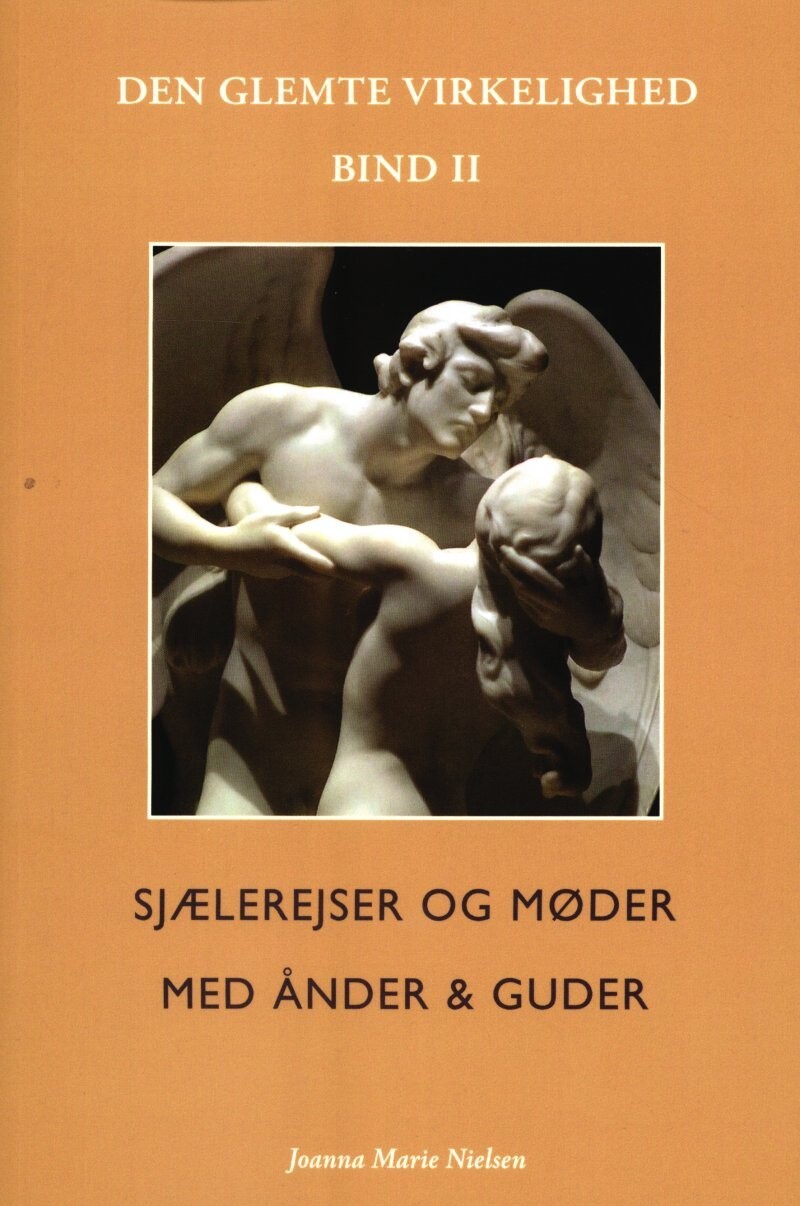 Den Glemte Virkelighed - Bind II - Joanna Marie Nielsen - Bog
