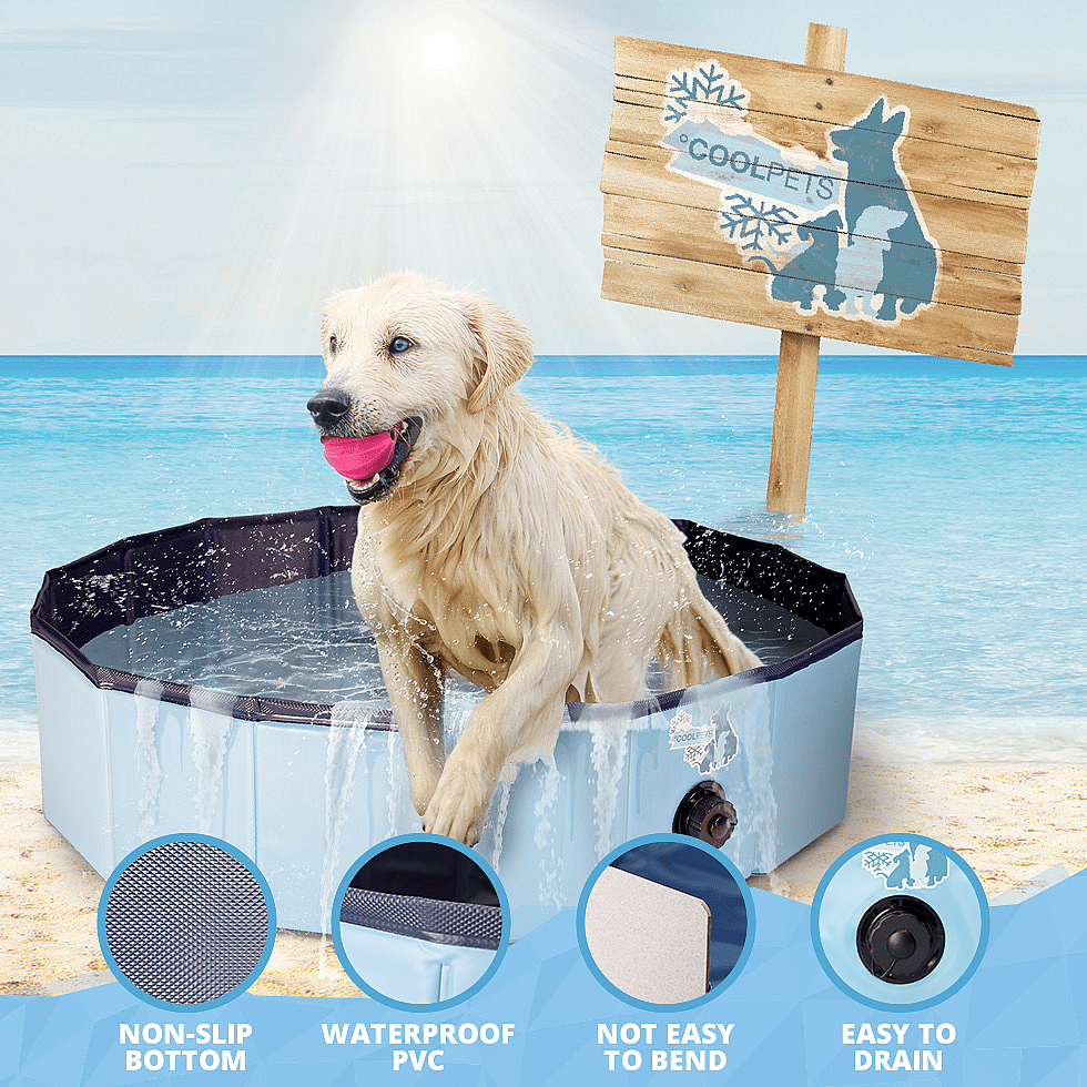 Coolpets Zwembad | Large - 120 x 30 | 12343.2