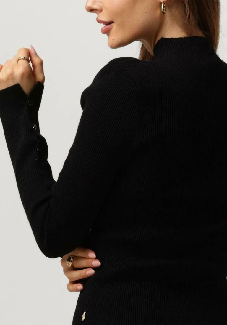 FABIENNE CHAPOT zwarte fabienne chapot trui lila pullover