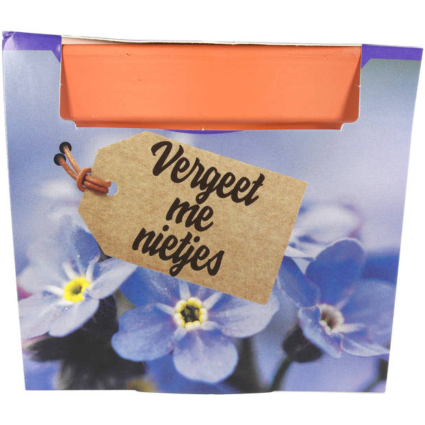 Cadeauset terracotta met zaadjes - 4 assorti