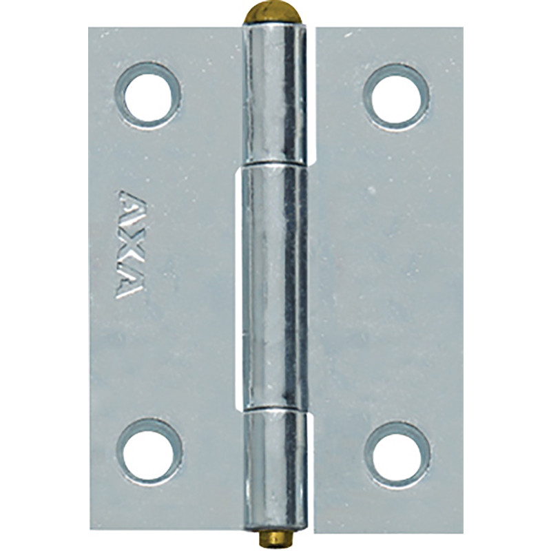 AXA scharnier 51x39mm