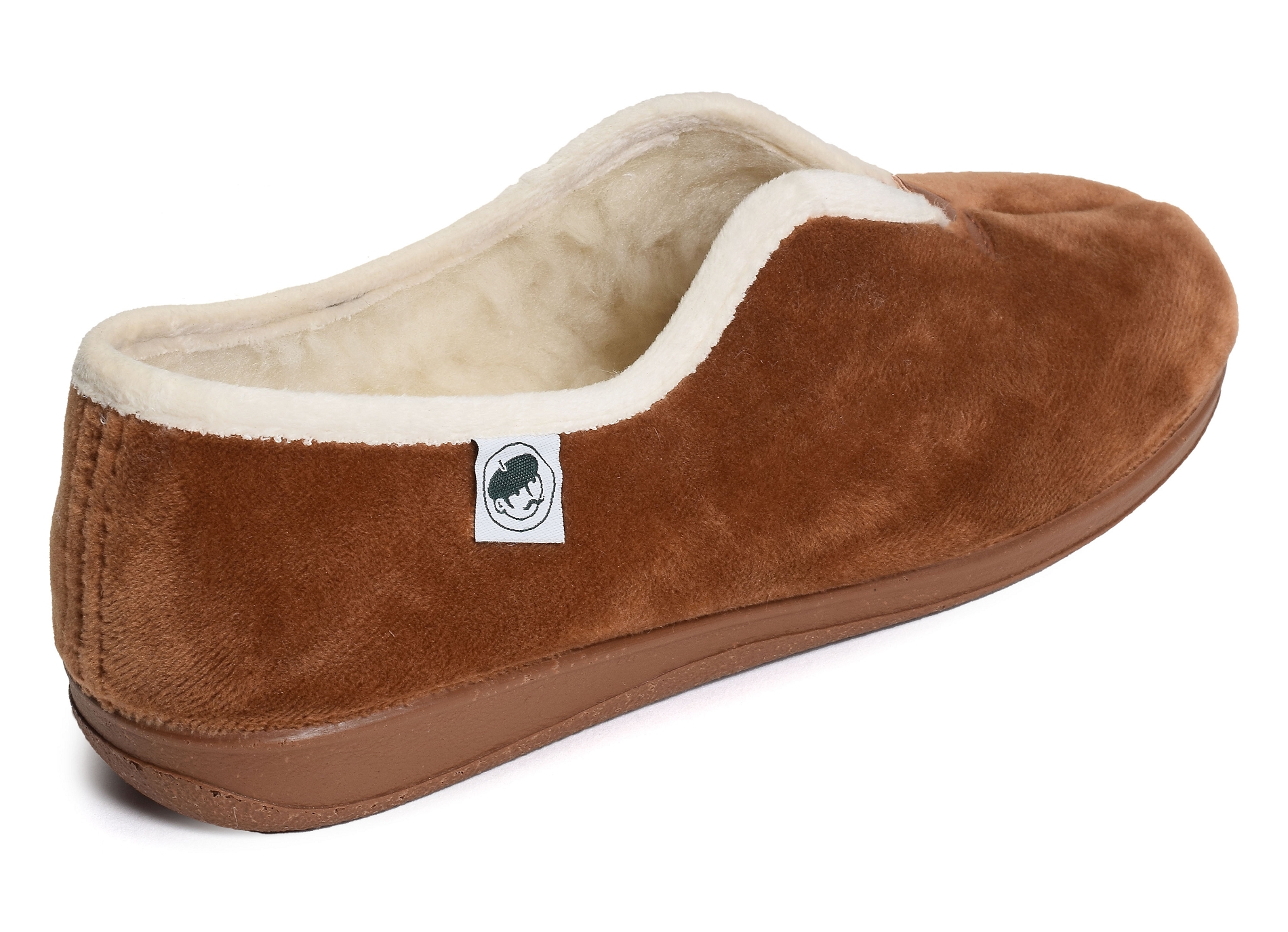Albix camel