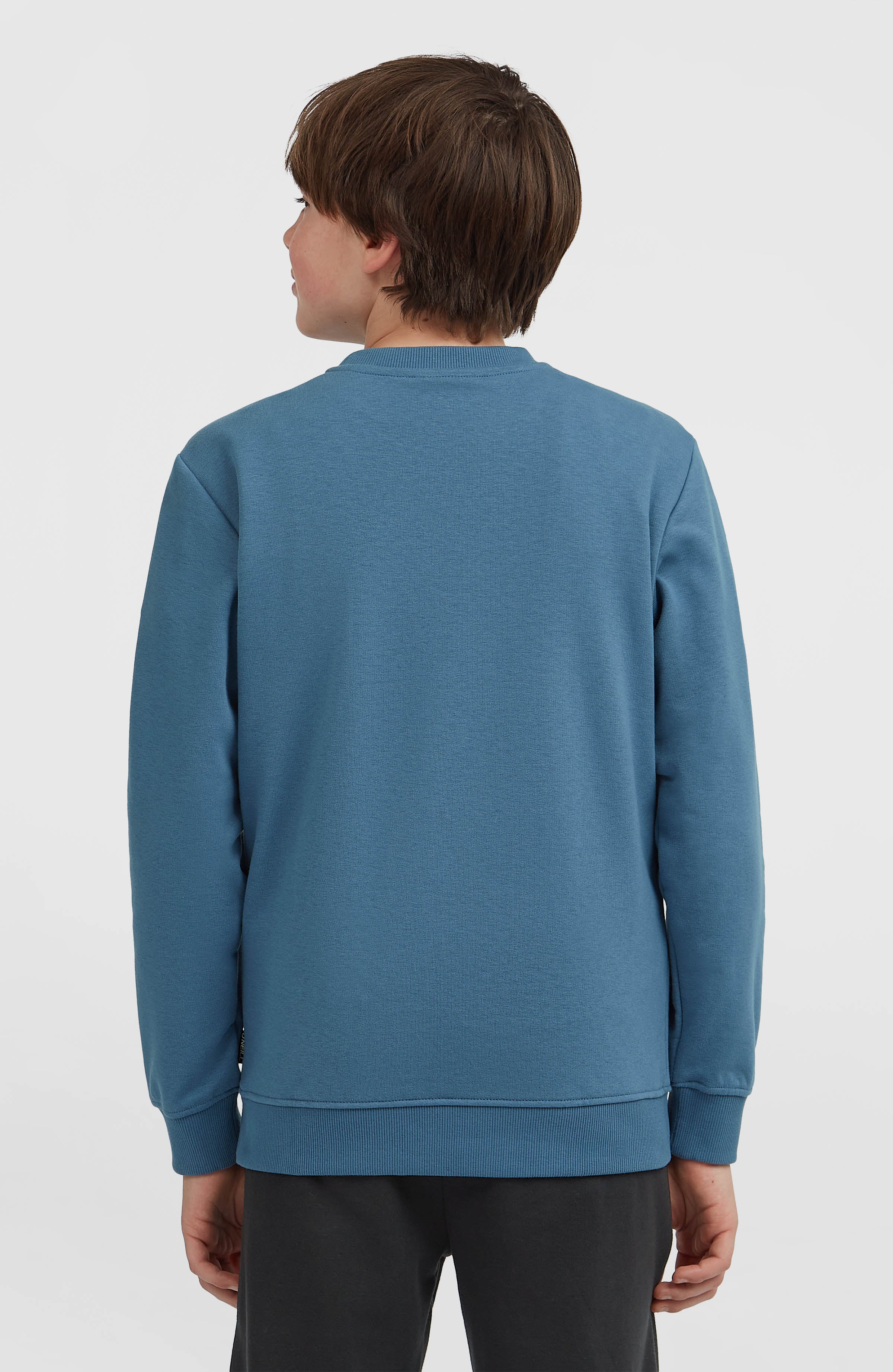 Essentials Crew sweater