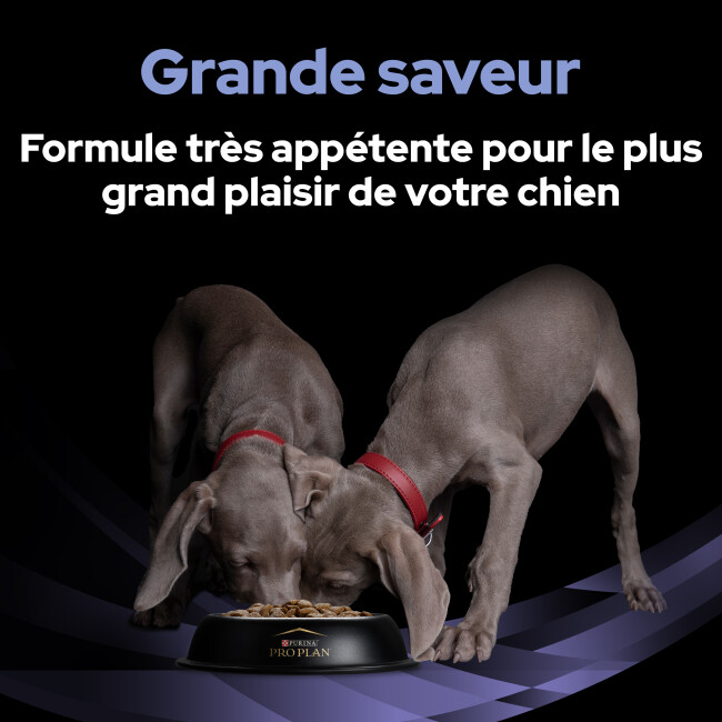 Fortiflora Chien Purina Veterinary Diet