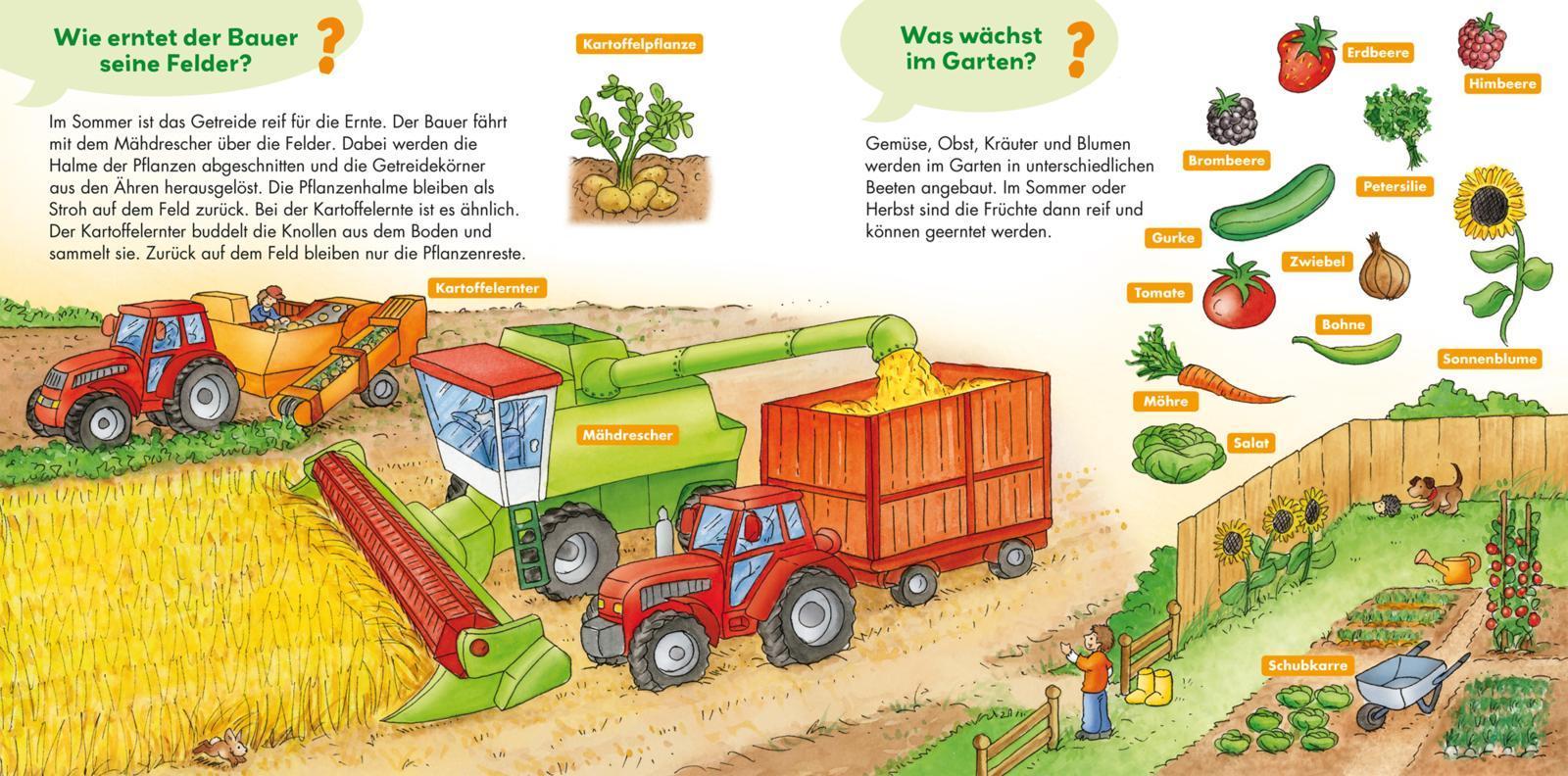 Bauernhof / Frag doch mal ... die Maus! Erstes Sachwissen Bd.2