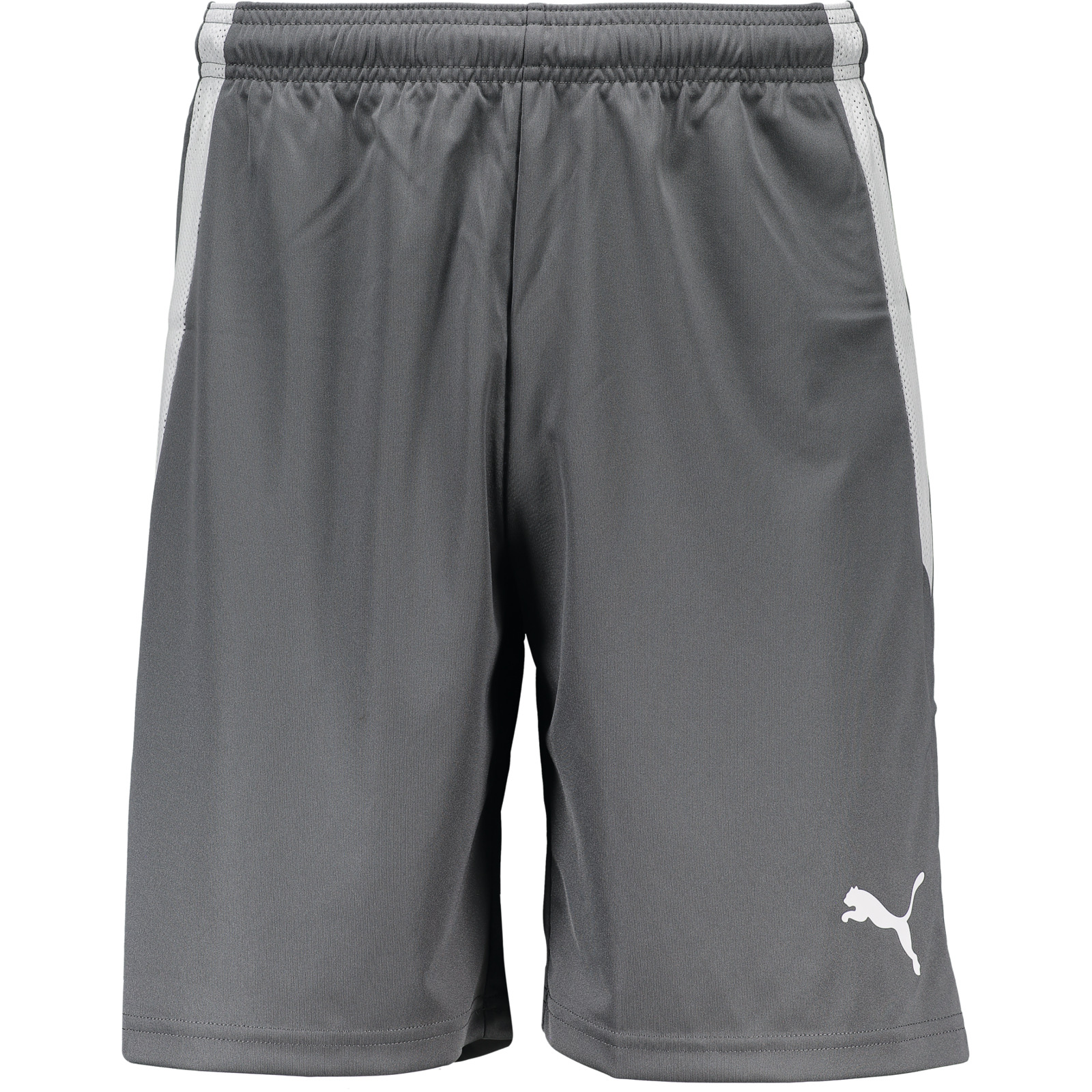 Puma Herren-Shorts team Liga M, grau