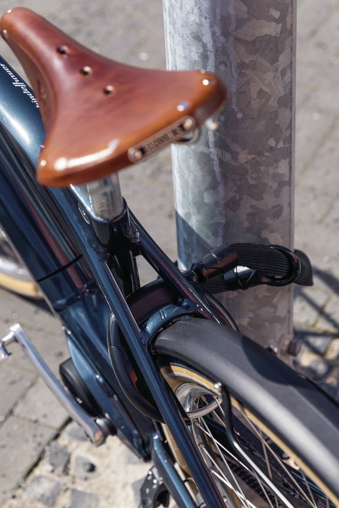 Abus Adaptor Chain ACH IVY 8KS/100 Rahmenschlosskette kaufen | Bike-Discount