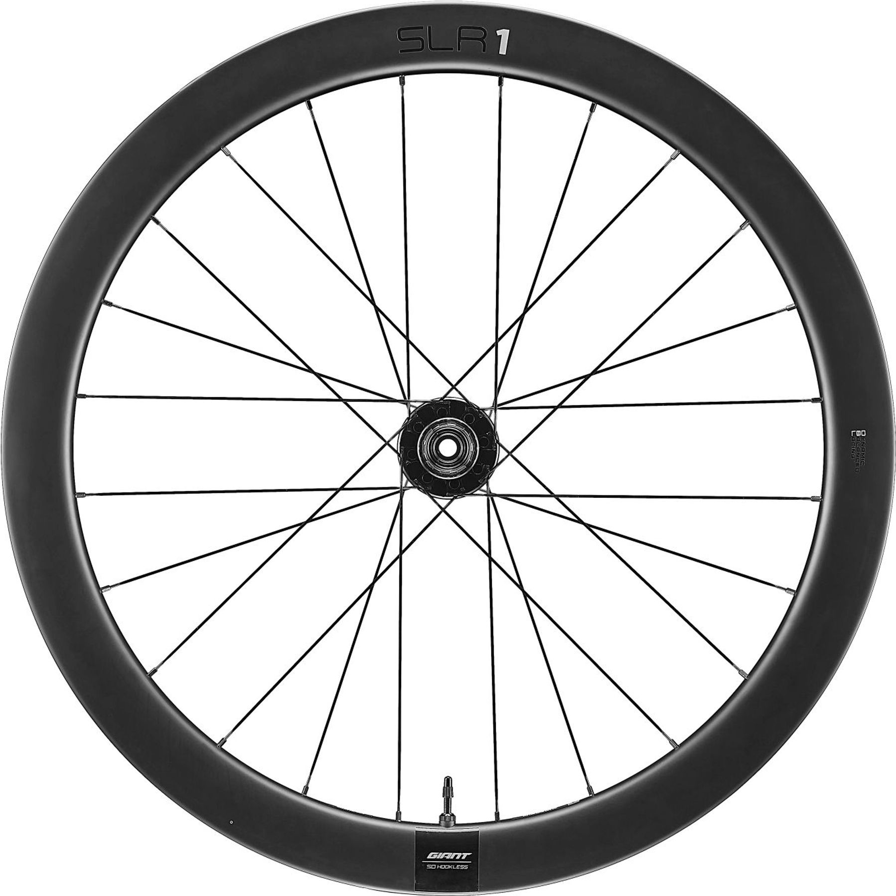 Giant SLR 1 50 Disc Racefiets Wielset