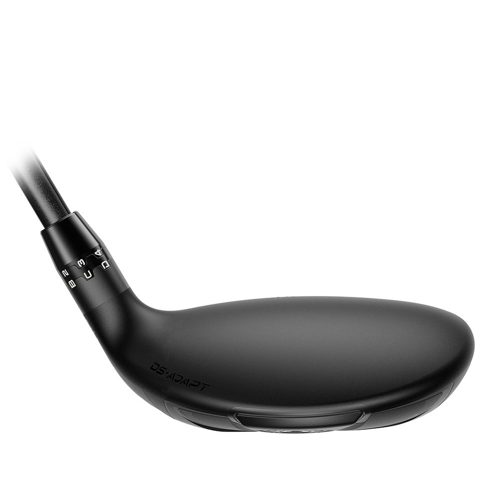 DS-Adapt Hybrid