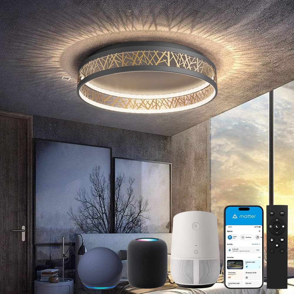 LED Deckenleuchte Mit Fernbedienung, Dimmbar Schlafzimmer Lampe with Matter Kompatibel Mit HomeKit, Alexa,  and IFTTT, Rund Schwarz Gold Aushöhlen Design Wohnzimmer Ø50×H12CM
