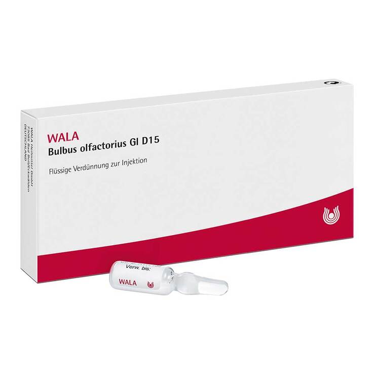 Bulbus Olfactorius GL D 15 Ampullen, 10X1 ml