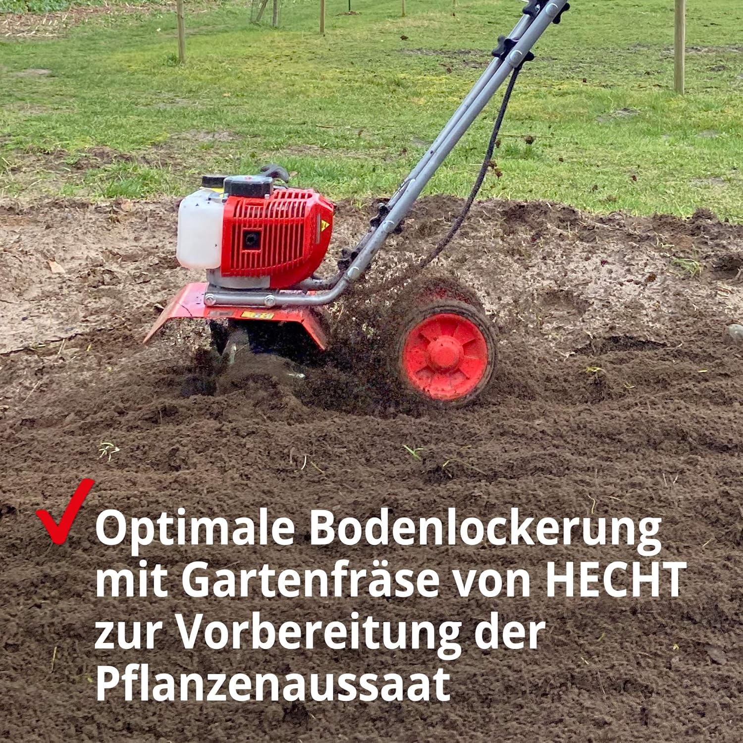 HECHT Benzin Gartenhacke Effektive Bodenbearbeitung mit 25 cm Arbeitsbreite – 2-Takt Motor – 16 Harte Messer – Motorhacke – Bodenfräse – Bodenhacke – Kultivator – zum Garten umgraben und lockern