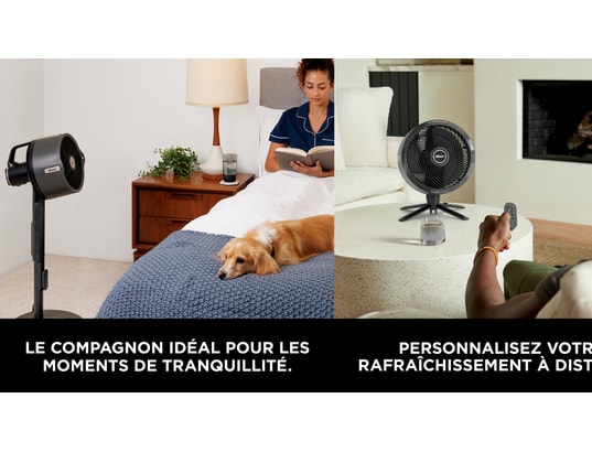 SHARK - Ventilateur et brumisateur FlexBreeze Pro Mist FA300EU